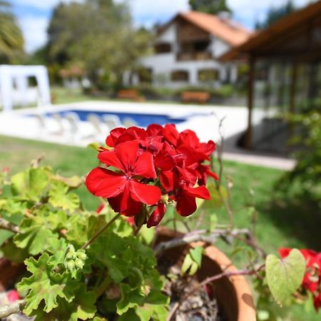 Hotel Quinta La Constanza Tababela Zewnętrze zdjęcie